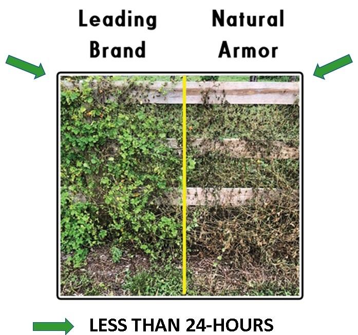 Natural Armor Glyphosate-free Weedkiller: Works Like It Said It Would!  -Customer Review