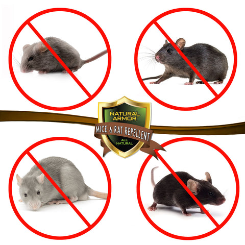 Mice & Rat Repellent -- QUART (32oz)