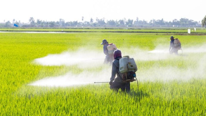 Vietnam Bans Import of Glyphosate Herbicides Following California Cancer Trial Verdict