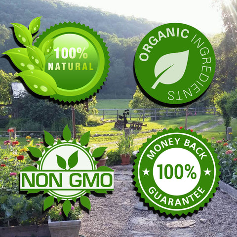 CONCENTRATE All-Purpose Fertilizer QUART