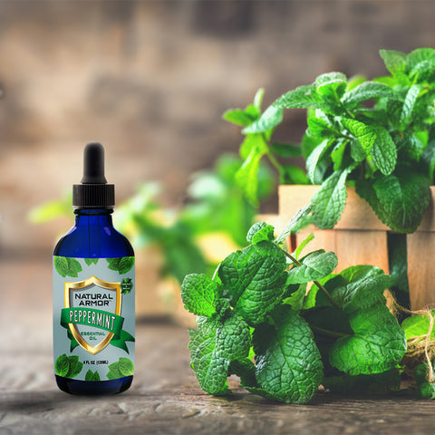 Peppermint Essential Oil