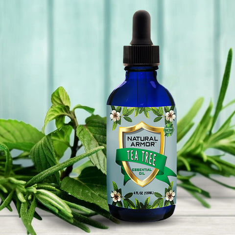 Tea Tree Essential Oil