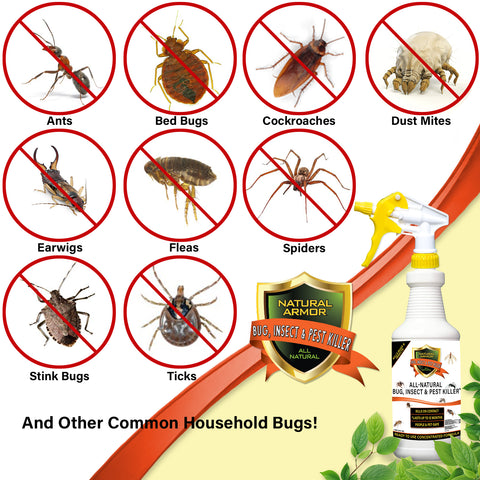 Bug, Insect & Pest Killer