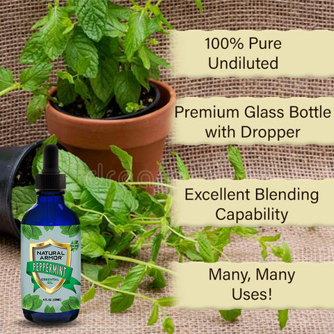 Peppermint Essential Oil