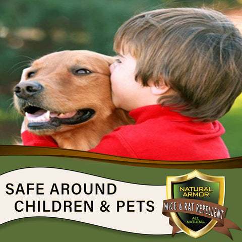 Mice & Rat Repellent -- GALLON (128oz)
