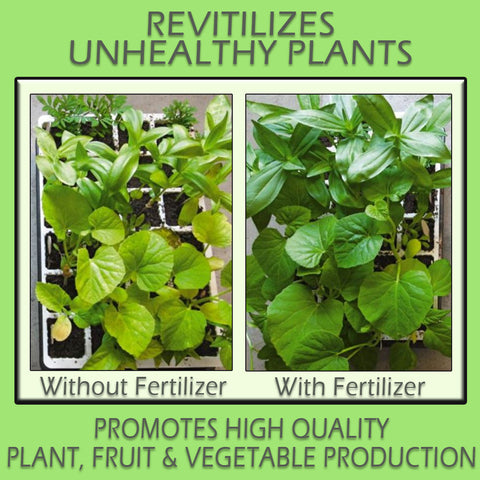 CONCENTRATE All-Purpose Fertilizer QUART