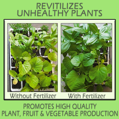 Ready to use All-Purpose Fertilizer 2.5 GALLON
