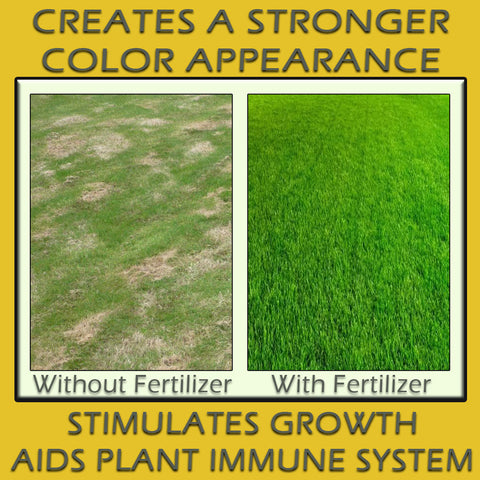 CONCENTRATE Lawn Fertilizer Grass & Turf Builder 2.5 GALLON