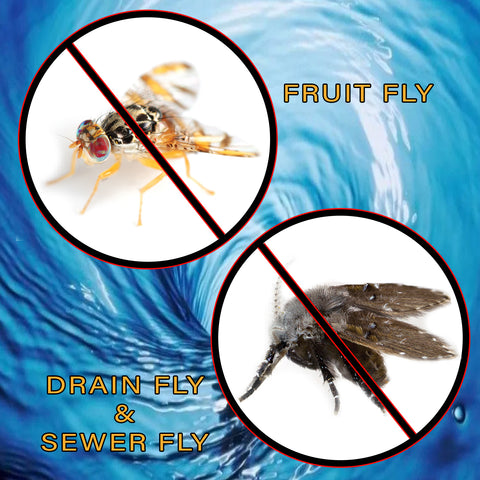 Fruit & Drain Fly Killer (1) 2.5 Gallon