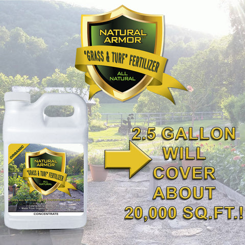 Turf fertilizer discount