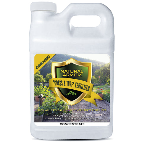 CONCENTRATE Lawn Fertilizer Grass & Turf Builder 2.5 GALLON