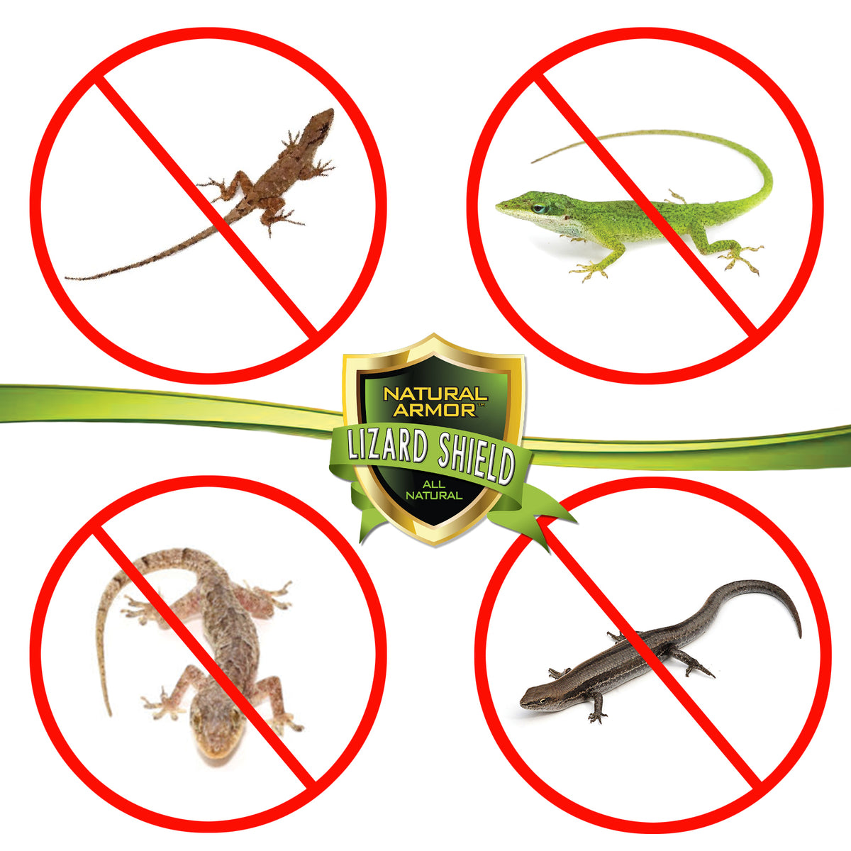 Lizard Shield – Natural Armor