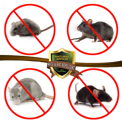 Mice & Rat Repellent -- GALLON (128oz)