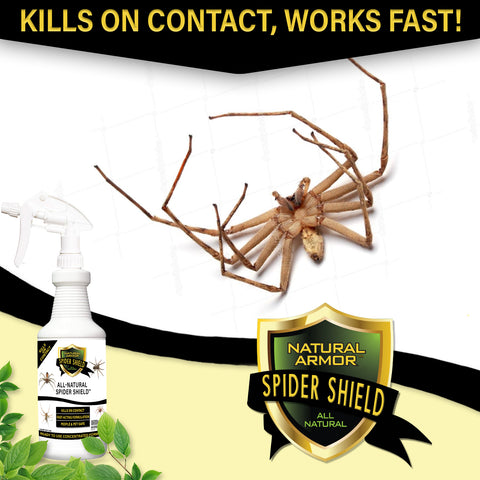 Spider Shield - GALLON (128 oz)