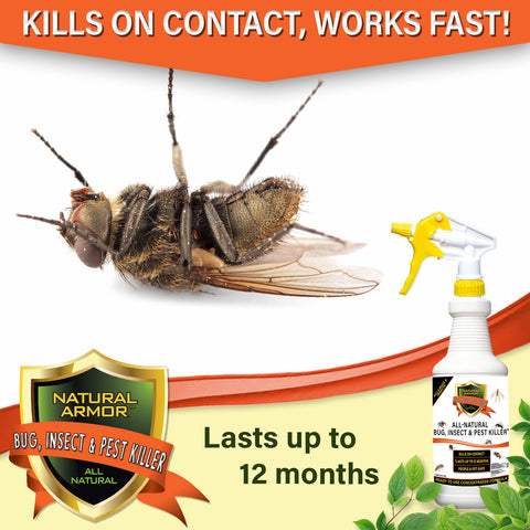 Bug, Insect & Pest Killer-GALLON (128oz)